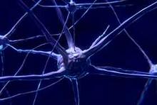 nerve-cell-2213009_1920_280x188